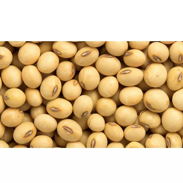 فول صويا 250جم